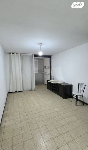 יצחק בן צבי 