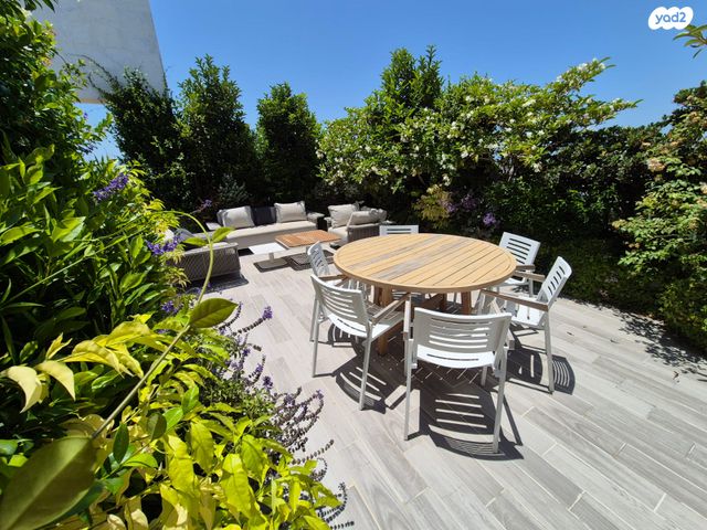 יהודה הלוי 8