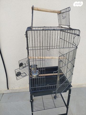 תמונת מודעה - חיות מחמד