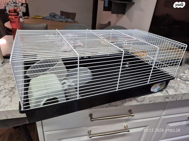 תמונת מודעה - חיות מחמד