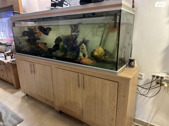 תמונת מודעה - חיות מחמד