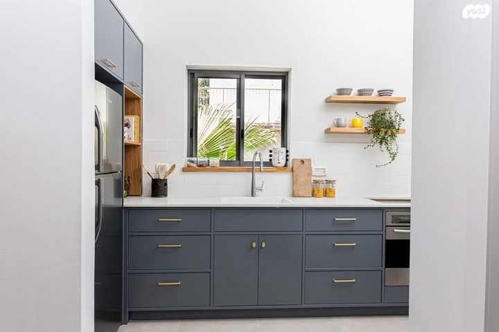 חיים וייצמן 19