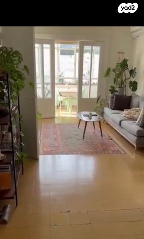 יהודה הלוי 81