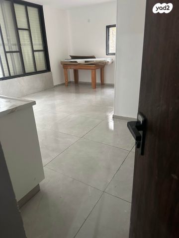 זאב ברנדה 11