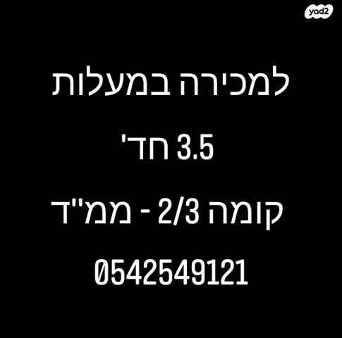 אסתר המלכה 