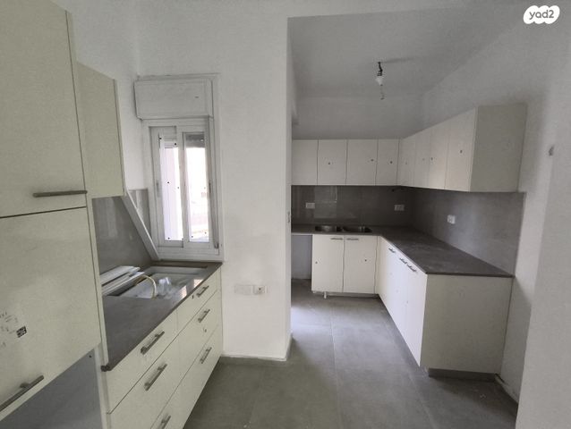 אליעזר הלוי 