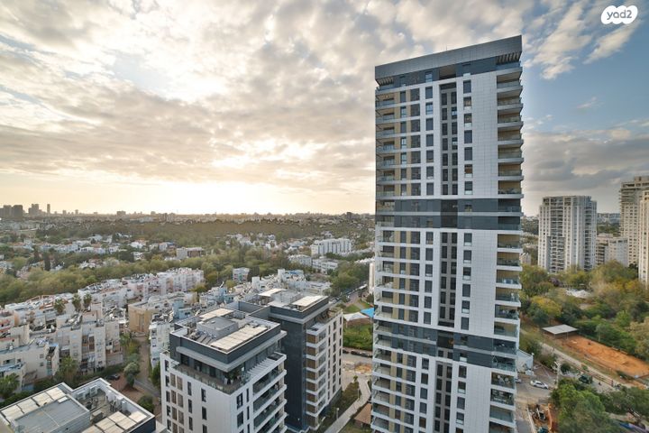 ראול ולנברג 33