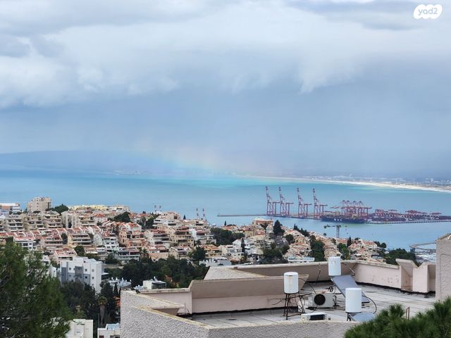 דירה, אחוזה, חיפה