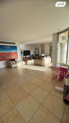 אריה דיסנצ'יק 