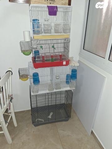 תמונת מודעה - חיות מחמד