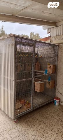 תמונת מודעה - חיות מחמד