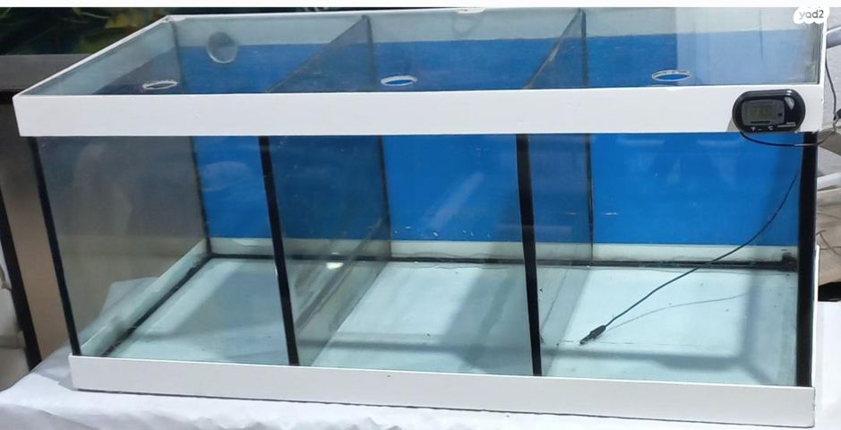 תמונת מודעה - חיות מחמד