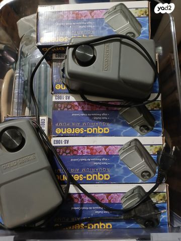 תמונת מודעה - חיות מחמד