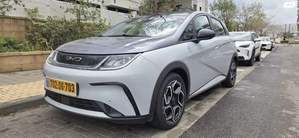 מודעת רכב בי.ווי.די דולפין