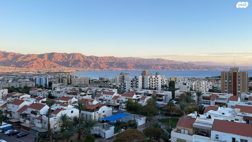 מקור החסידה 6