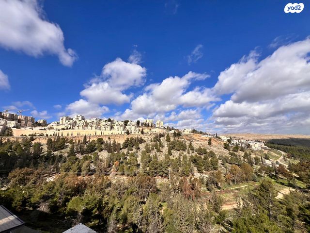 אורי בן ארי 