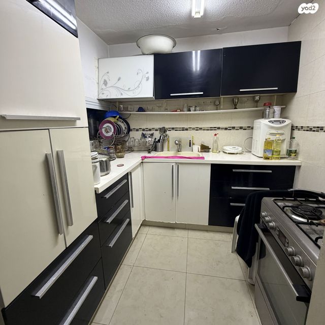 פיינשטיין 6