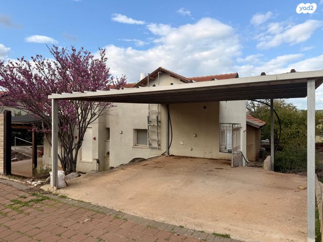 מודעת נכס, מולדת