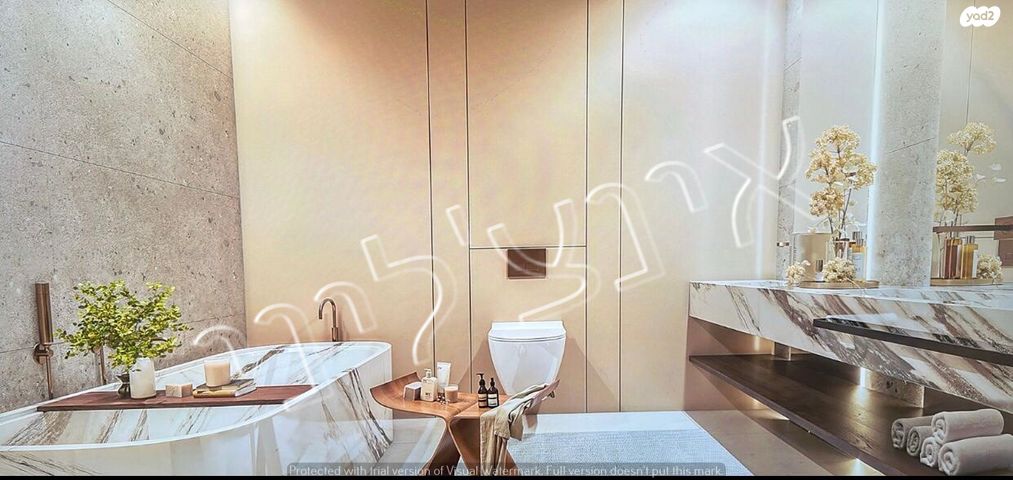 איזור שדה דב