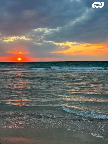 דרך אלטנוילנד 