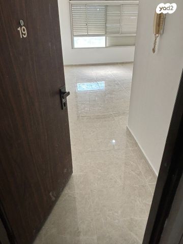 אריה דולצ'ין 