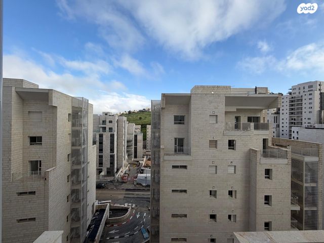 פרופסור יעקב נאמן 