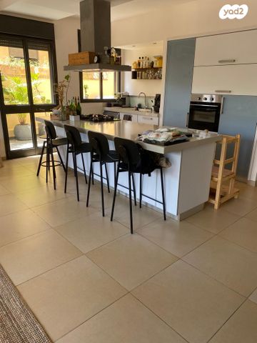 מקס ריינהרט 