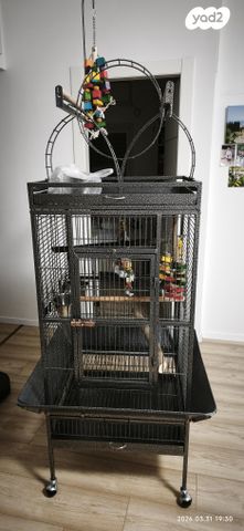 תמונת מודעה - חיות מחמד