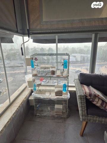 תמונת מודעה - חיות מחמד