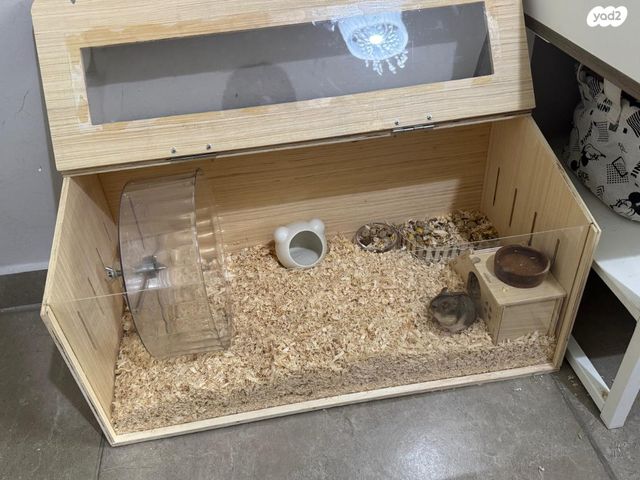 תמונת מודעה - חיות מחמד