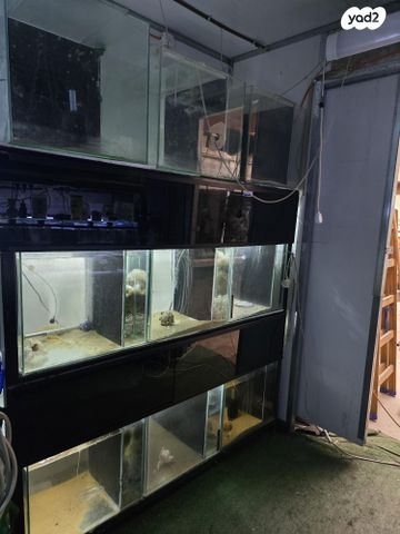 תמונת מודעה - חיות מחמד