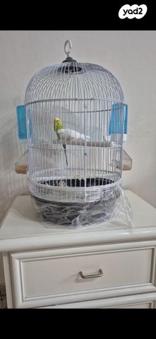 תמונת מודעה - חיות מחמד