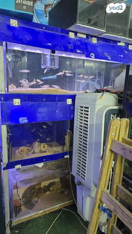 תמונת מודעה - חיות מחמד