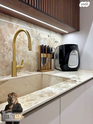 אריאל שרון 1