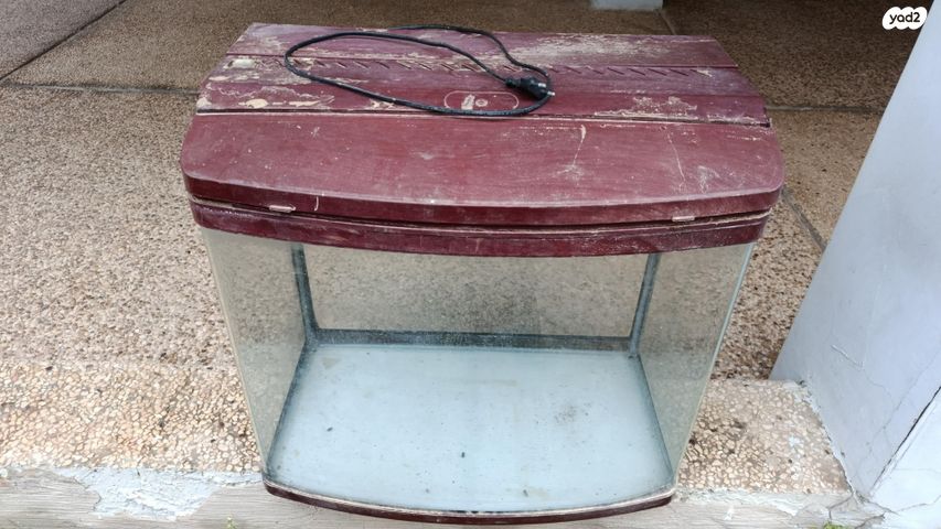 תמונת מודעה - חיות מחמד