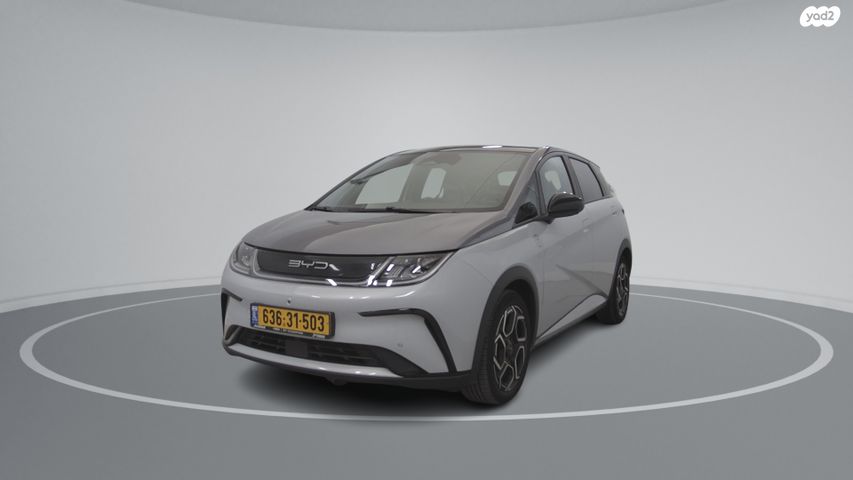 מודעת רכב בי.ווי.די דולפין