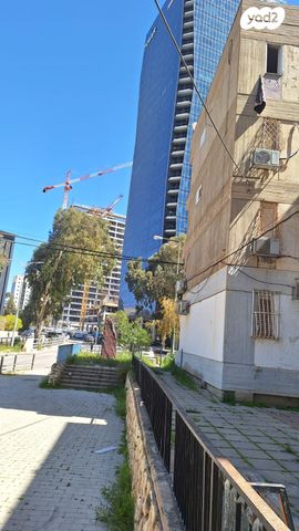 דוד וולפסון 28