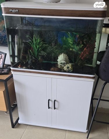 תמונת מודעה - חיות מחמד