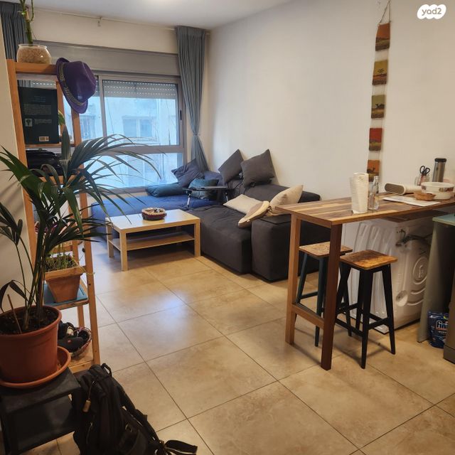 עין הקורא 16