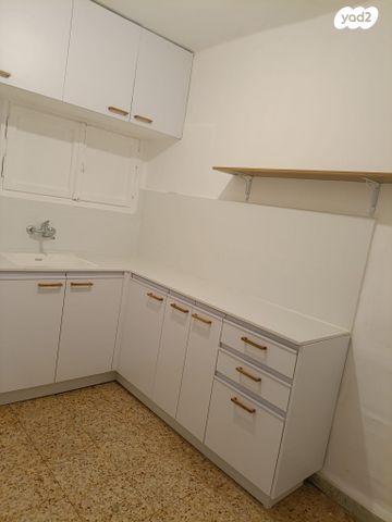 קהילת לודז' 29