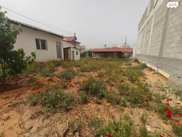 ירמיהו הנביא 