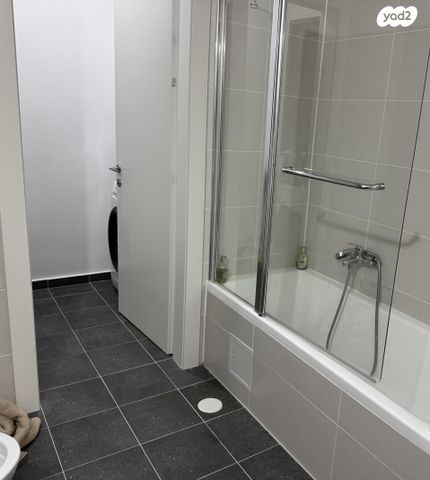 ז'בוטינסקי 4