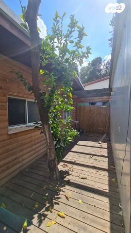 חזית הדרום 23