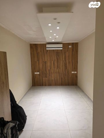 אלכסנדר רובוביץ' 313