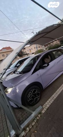 מודעת רכב בי.ווי.די דולפין