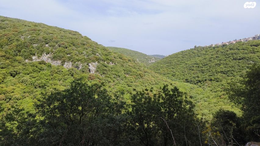 מעלה הבנים 27