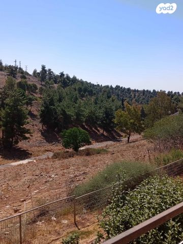 זלמן שז"ר 231