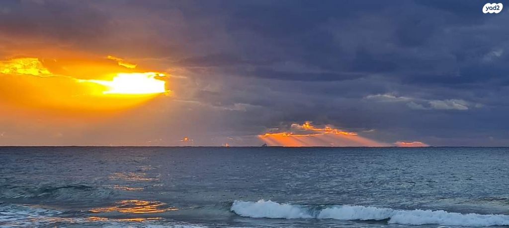 שדרות זלמן שז"ר 53