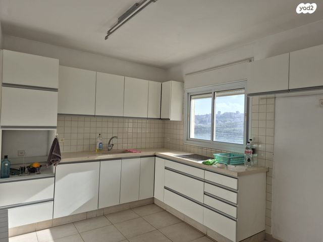 הרב אריה בינה 33