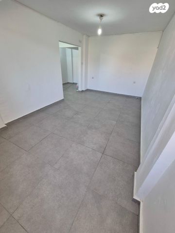 צבי בורנשטיין 533